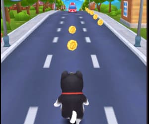 Pet Parkour